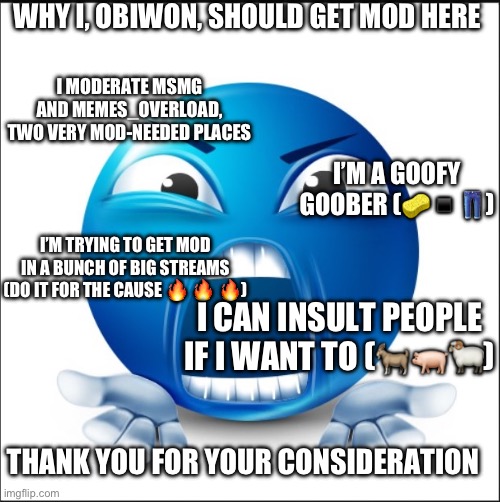 Mods, please just let this in | WHY I, OBIWON, SHOULD GET MOD HERE; I MODERATE MSMG AND MEMES_OVERLOAD, TWO VERY MOD-NEEDED PLACES; I’M A GOOFY GOOBER (🧽▪️👖); I’M TRYING TO GET MOD IN A BUNCH OF BIG STREAMS (DO IT FOR THE CAUSE 🔥 🔥 🔥); I CAN INSULT PEOPLE IF I WANT TO (🐐🐖🐏); THANK YOU FOR YOUR CONSIDERATION | image tagged in angry blue guy | made w/ Imgflip meme maker
