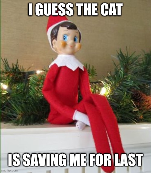 Elf on a Shelf | I GUESS THE CAT IS SAVING ME FOR LAST | image tagged in elf on a shelf | made w/ Imgflip meme maker