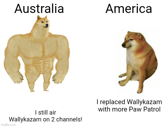 I used a VPN to watch Wallykazam. | Australia; America; I replaced Wallykazam with more Paw Patrol; I still air Wallykazam on 2 channels! | image tagged in memes,buff doge vs cheems,wallykazam,nick jr,abc kids | made w/ Imgflip meme maker