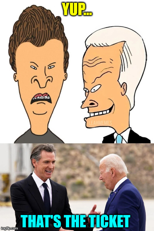 They're the same picture | YUP... THAT'S THE TICKET | image tagged in beavis and butthead,gavin,dementia,joe | made w/ Imgflip meme maker