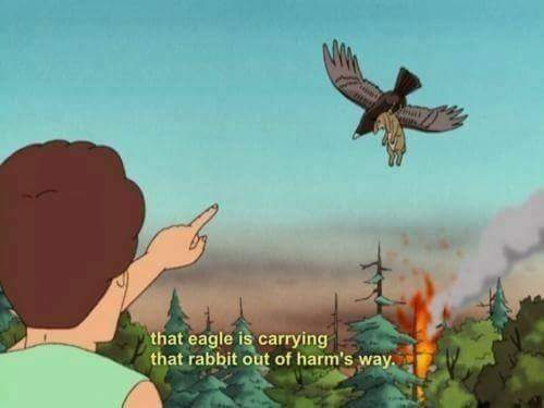 High Quality Eagle carrying rabbit out of harm's way Blank Meme Template