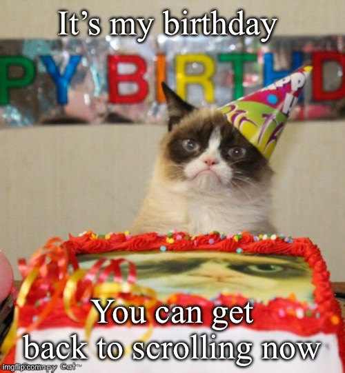 I’m late it was on the 26th | It’s my birthday; You can get back to scrolling now | image tagged in memes,grumpy cat birthday,grumpy cat,birthday,cat | made w/ Imgflip meme maker