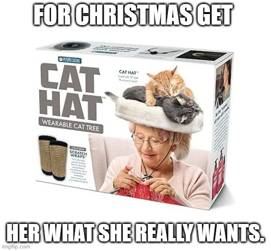 meme by Brad Christmas idea for cat lovers | FOR CHRISTMAS GET; HER WHAT SHE REALLY WANTS. | image tagged in funny cat memes | made w/ Imgflip meme maker