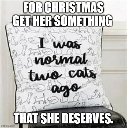 meme by Brad Christmas gift cat pillow | FOR CHRISTMAS GET HER SOMETHING; THAT SHE DESERVES. | image tagged in cat meme | made w/ Imgflip meme maker