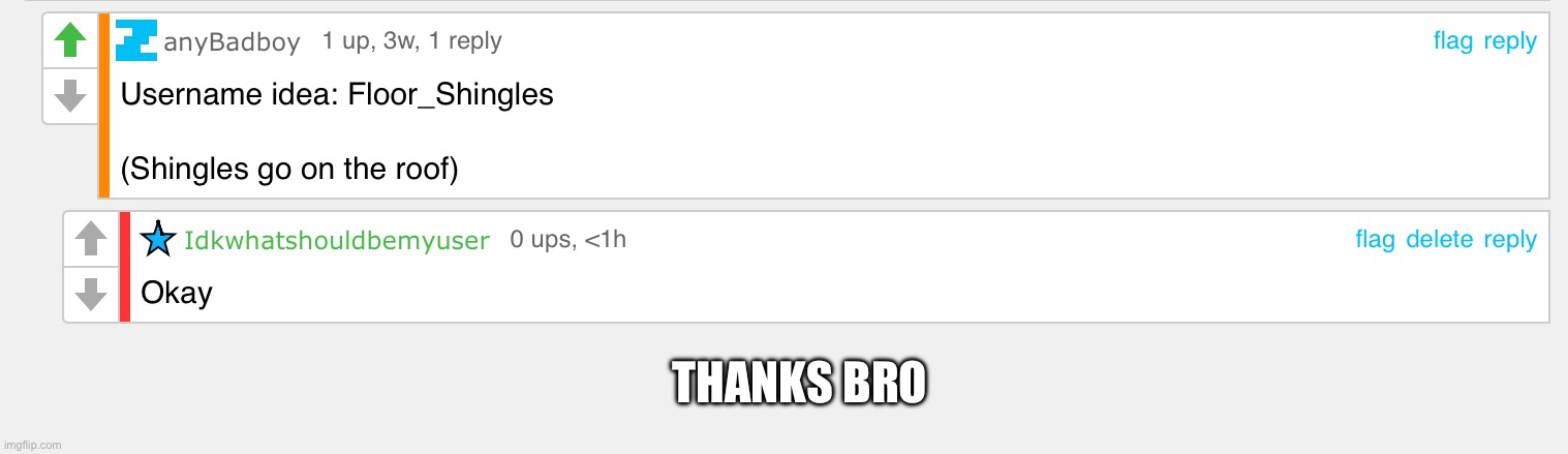 Thank you | THANKS BRO | image tagged in idk | made w/ Imgflip meme maker