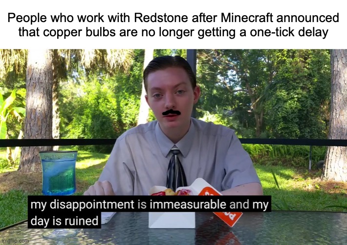 It had a good run | People who work with Redstone after Minecraft announced that copper bulbs are no longer getting a one-tick delay | image tagged in my disappointment is immeasurable | made w/ Imgflip meme maker