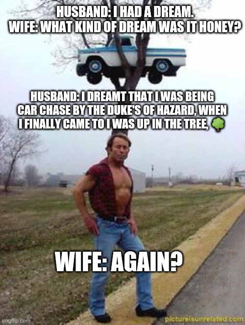 Sexy car on tree | HUSBAND: I HAD A DREAM. 
WIFE: WHAT KIND OF DREAM WAS IT HONEY? HUSBAND: I DREAMT THAT I WAS BEING CAR CHASE BY THE DUKE'S OF HAZARD, WHEN I FINALLY CAME TO I WAS UP IN THE TREE, 🌳; WIFE: AGAIN? | image tagged in sexy car on tree | made w/ Imgflip meme maker