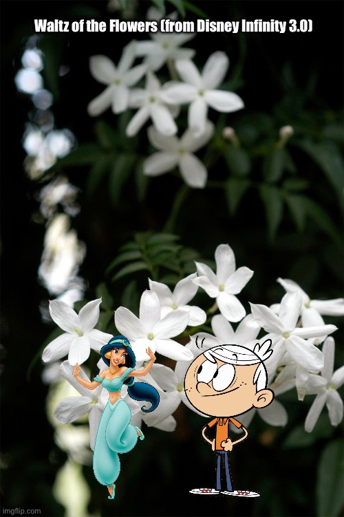 Waltz of the Flowers (from Disney Infinity 3.0) | Waltz of the Flowers (from Disney Infinity 3.0) | image tagged in the loud house,nickelodeon,lincoln loud,princess,disney,video game | made w/ Imgflip meme maker