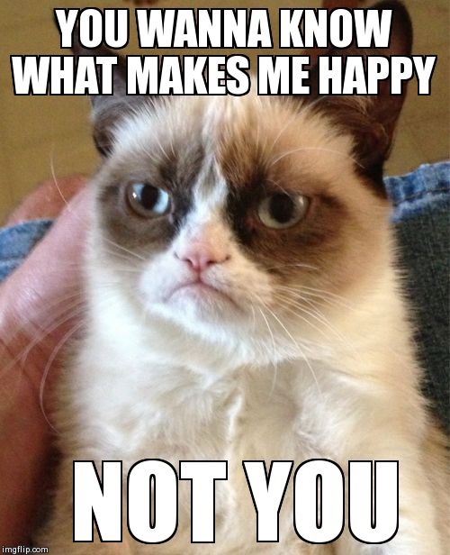Grumpy Cat wants you to know... | YOU WANNA KNOW WHAT MAKES ME HAPPY NOT YOU | image tagged in memes,grumpy cat | made w/ Imgflip meme maker