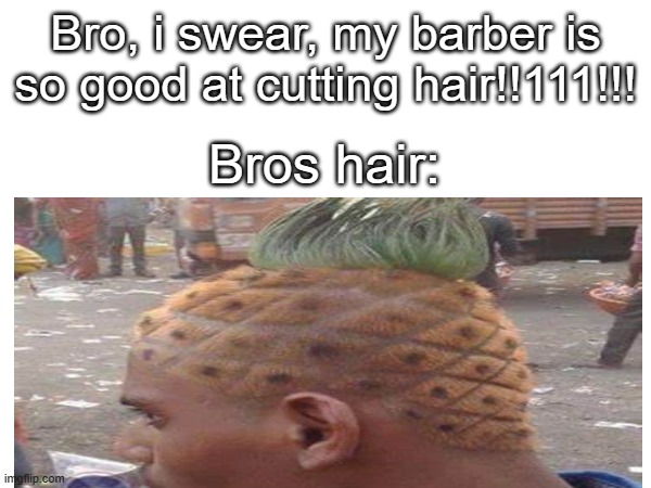 insane barber fr | Bro, i swear, my barber is so good at cutting hair!!111!!! Bros hair: | image tagged in oh wow are you actually reading these tags,stop reading the tags | made w/ Imgflip meme maker