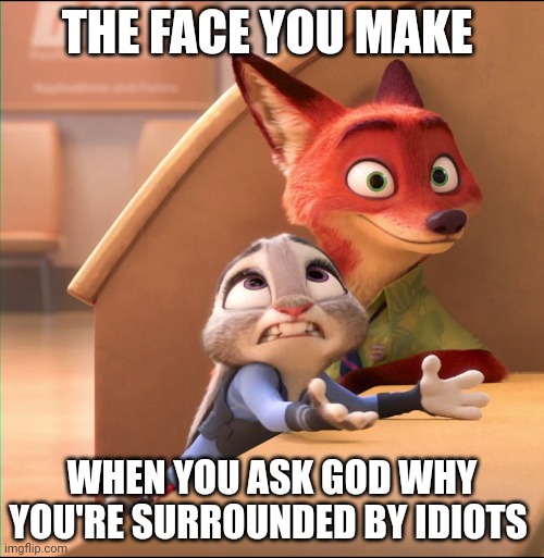 Judy's Stupidity Intolerance | THE FACE YOU MAKE; WHEN YOU ASK GOD WHY YOU'RE SURROUNDED BY IDIOTS | image tagged in judy hopps size matters,zootopia,judy hopps,nick wilde,the face you make when,funny | made w/ Imgflip meme maker