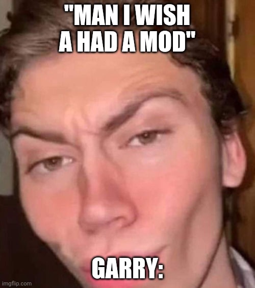 Rizz | "MAN I WISH A HAD A MOD" GARRY: | image tagged in rizz | made w/ Imgflip meme maker