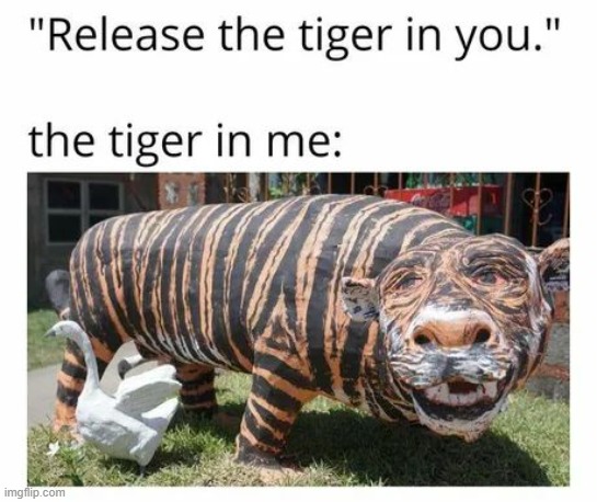 image tagged in tiger,bruh | made w/ Imgflip meme maker