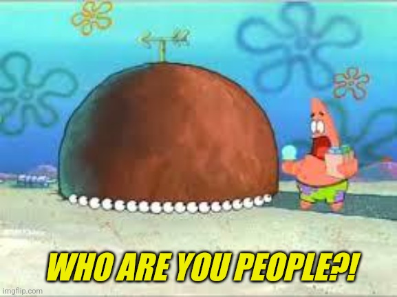 WHO ARE YOU PEOPLE? | WHO ARE YOU PEOPLE?! | image tagged in who are you people | made w/ Imgflip meme maker