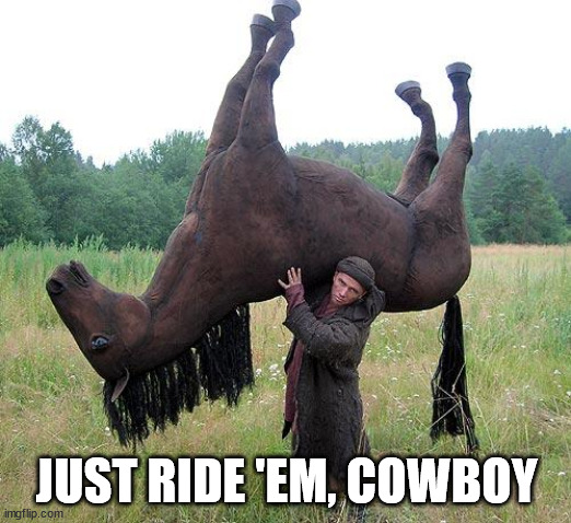 HORSE_GUY | JUST RIDE 'EM, COWBOY | image tagged in horse_guy | made w/ Imgflip meme maker