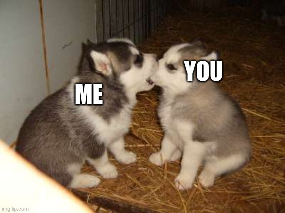 Cute Puppies Meme | YOU ME | image tagged in memes,cute puppies | made w/ Imgflip meme maker