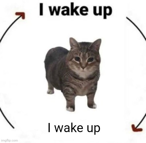 I wake up | I wake up | image tagged in i wake up | made w/ Imgflip meme maker