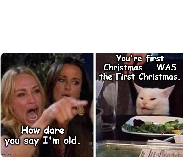 You're old. Even you're tongue is wrinkled. | You're first Christmas... WAS the First Christmas. How dare you say I'm old. | image tagged in lady screams at cat,funny animals,cat,meme,hilarious | made w/ Imgflip meme maker