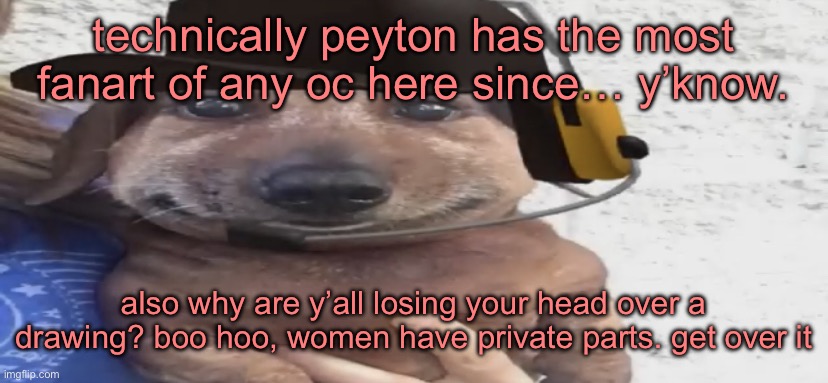 chucklenuts | technically peyton has the most fanart of any oc here since… y’know. also why are y’all losing your head over a drawing? boo hoo, women have private parts. get over it | image tagged in chucklenuts | made w/ Imgflip meme maker