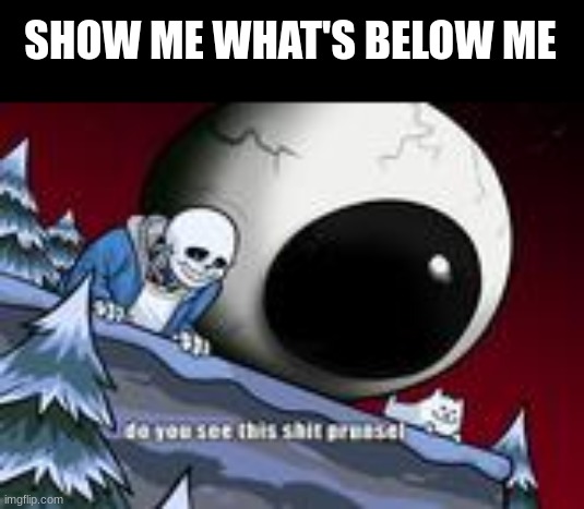 what's below? | SHOW ME WHAT'S BELOW ME | image tagged in you see this shit prunsel | made w/ Imgflip meme maker