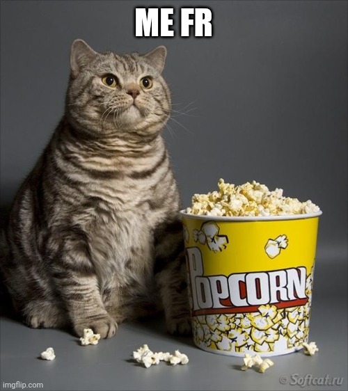 Cat eating popcorn | ME FR | image tagged in cat eating popcorn | made w/ Imgflip meme maker