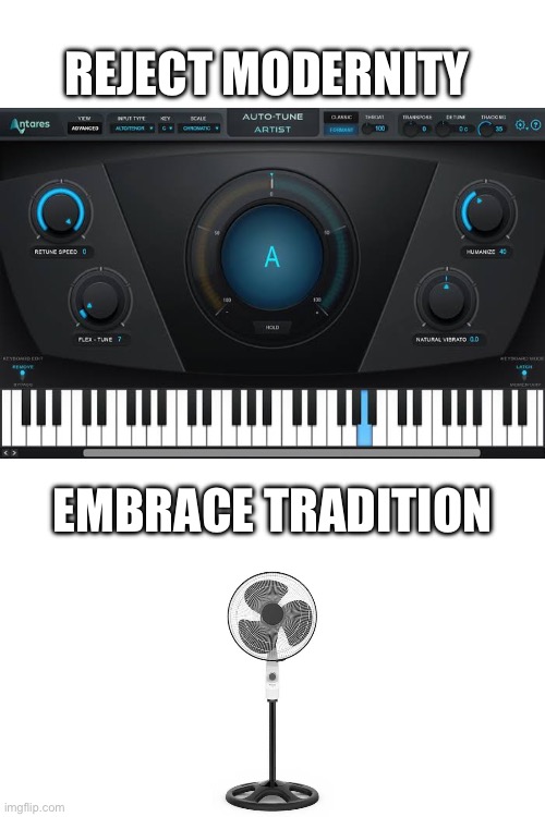Reject modernity, embrace tradition | REJECT MODERNITY; EMBRACE TRADITION | image tagged in reject modernity embrace tradition | made w/ Imgflip meme maker