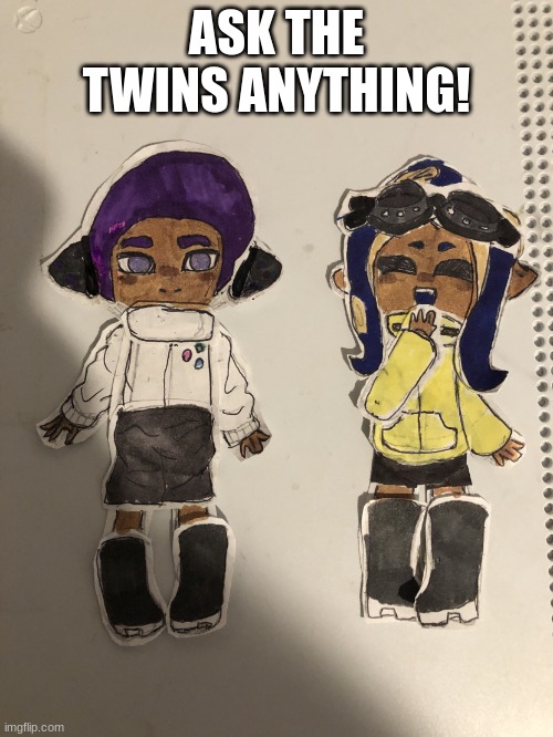 E | ASK THE TWINS ANYTHING! | image tagged in bunii and agent s | made w/ Imgflip meme maker