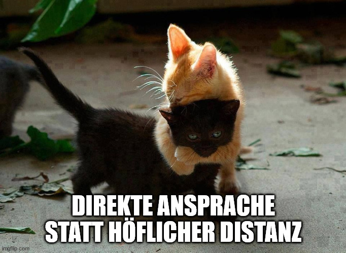 kitten hug | DIREKTE ANSPRACHE STATT HÖFLICHER DISTANZ | image tagged in kitten hug | made w/ Imgflip meme maker