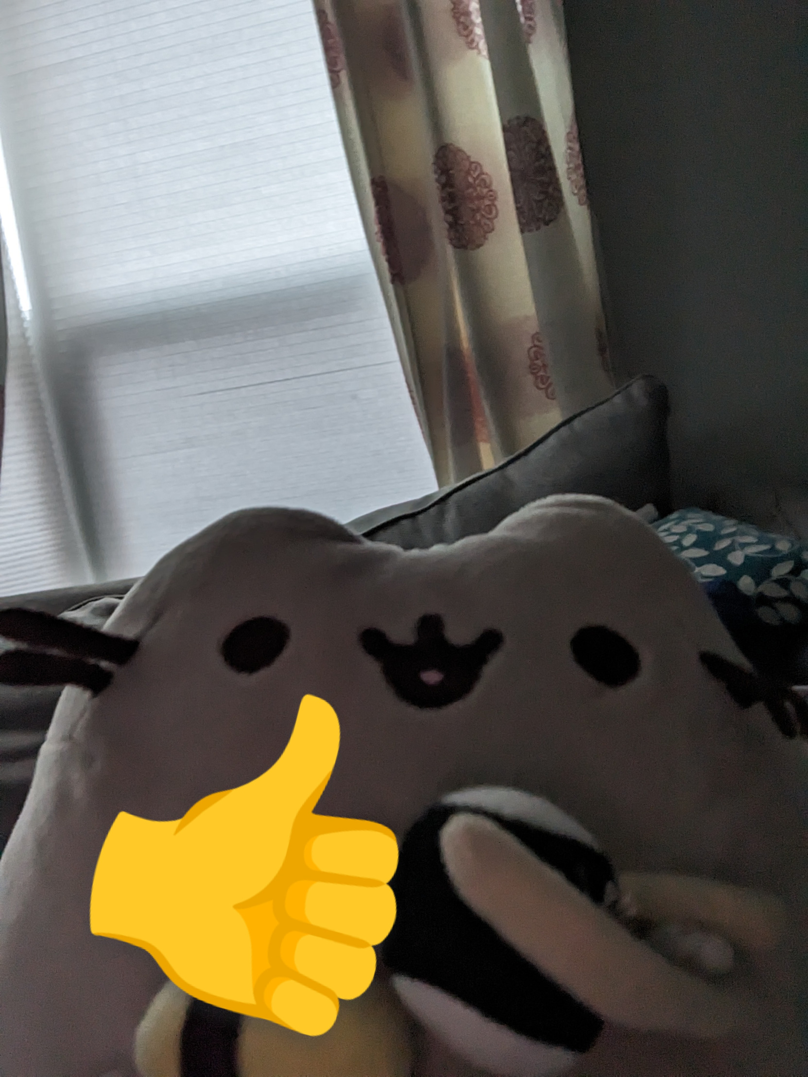 High Quality Pusheen with thumbs up Blank Meme Template