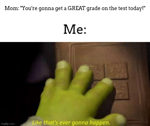 I always do bad on tests for some reason | Mom: "You're gonna get a GREAT grade on the test today!"; Me: | image tagged in like that's ever gonna happen,meme,shrek,test | made w/ Imgflip meme maker