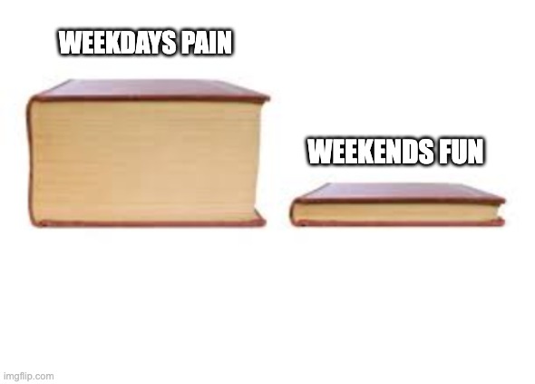 Big Book and Small Book | WEEKDAYS PAIN; WEEKENDS FUN | image tagged in big book and small book | made w/ Imgflip meme maker