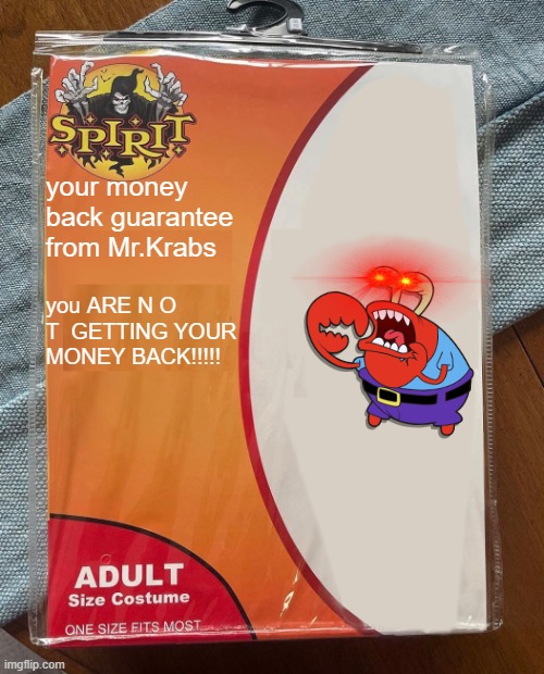 Spirit Halloween | your money back guarantee from Mr.Krabs; you ARE N O T  GETTING YOUR MONEY BACK!!!!! | image tagged in spirit halloween | made w/ Imgflip meme maker