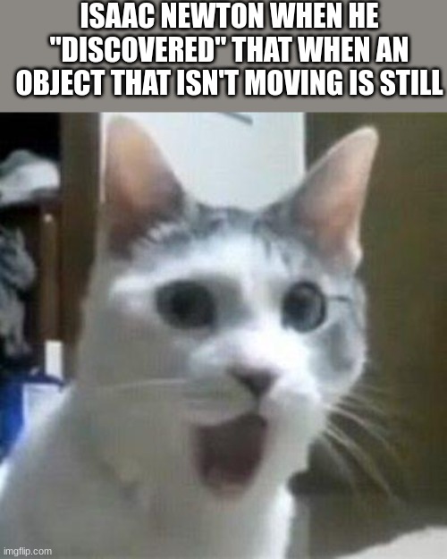 Shocked Cat | ISAAC NEWTON WHEN HE "DISCOVERED" THAT WHEN AN OBJECT THAT ISN'T MOVING IS STILL | image tagged in shocked cat | made w/ Imgflip meme maker