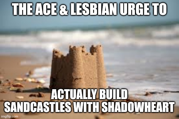 SandCastle | THE ACE & LESBIAN URGE TO; ACTUALLY BUILD SANDCASTLES WITH SHADOWHEART | image tagged in sandcastle | made w/ Imgflip meme maker