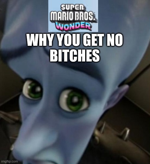 Megamind no bitches | WHY YOU GET NO
BITCHES | image tagged in megamind no bitches | made w/ Imgflip meme maker