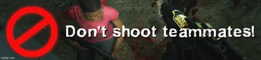dont shoot teammates! | image tagged in dont shoot teammates | made w/ Imgflip meme maker