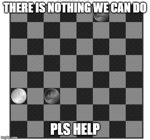 help | THERE IS NOTHING WE CAN DO; PLS HELP | image tagged in funny memes | made w/ Imgflip meme maker