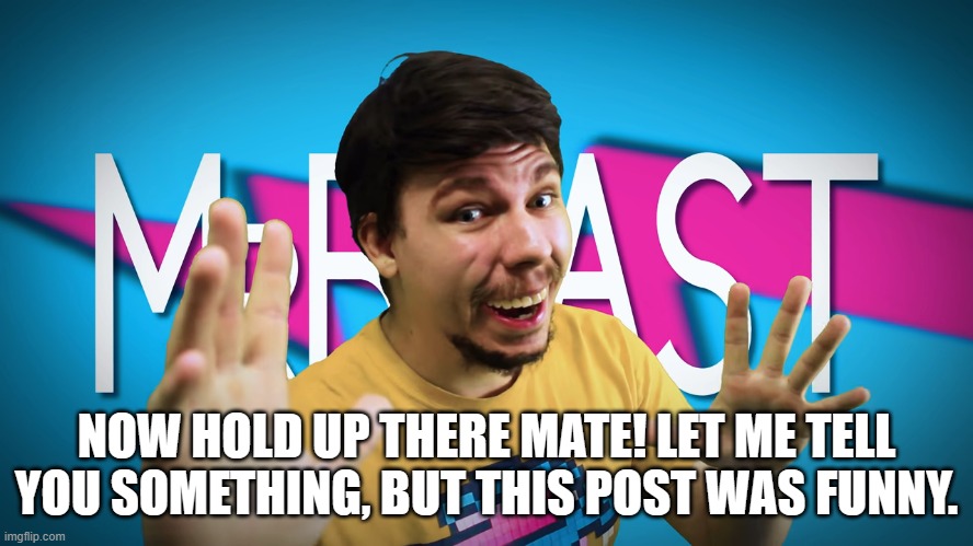 Fake MrBeast | NOW HOLD UP THERE MATE! LET ME TELL YOU SOMETHING, BUT THIS POST WAS FUNNY. | image tagged in fake mrbeast | made w/ Imgflip meme maker