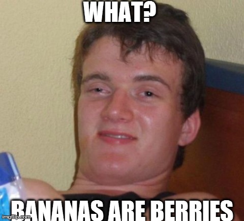 10 Guy Meme | WHAT?  BANANAS ARE BERRIES | image tagged in memes,10 guy | made w/ Imgflip meme maker