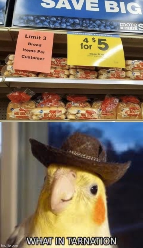 Bread | image tagged in what in tarnation,bread,buns,you had one job,memes,bun | made w/ Imgflip meme maker