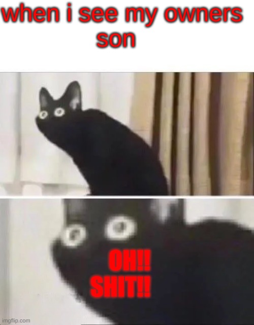 the son | when i see my owners 
              son; OH!! SHIT!! | image tagged in oh no black cat | made w/ Imgflip meme maker