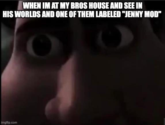 tighten stare | WHEN IM AT MY BROS HOUSE AND SEE IN HIS WORLDS AND ONE OF THEM LABELED "JENNY MOD" | image tagged in tighten stare | made w/ Imgflip meme maker