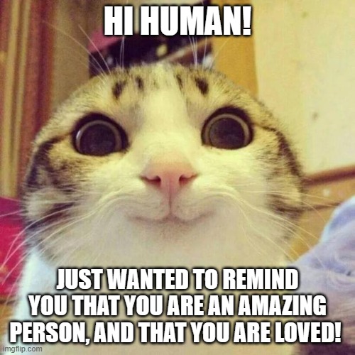 "You're braver than you believe, stronger than you seem, and smarter than you think." | HI HUMAN! JUST WANTED TO REMIND YOU THAT YOU ARE AN AMAZING PERSON, AND THAT YOU ARE LOVED! | image tagged in memes,smiling cat,motivational,love yourself | made w/ Imgflip meme maker