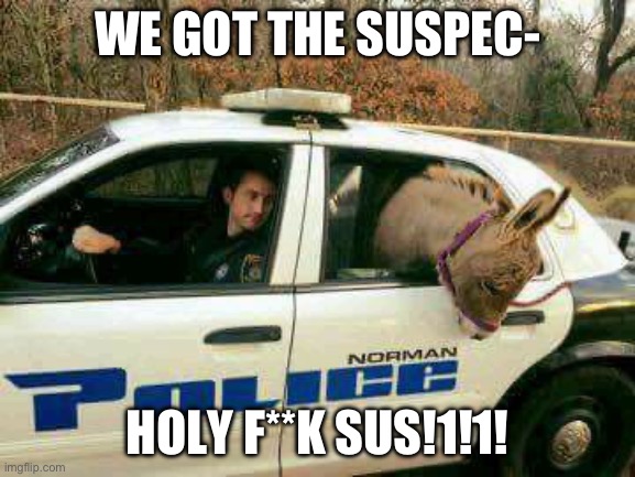 Donkey in Police Car | WE GOT THE SUSPEC- HOLY F**K SUS!1!1! | image tagged in donkey in police car | made w/ Imgflip meme maker