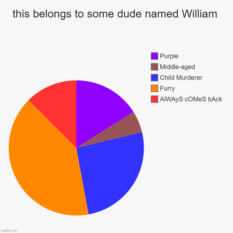 Very unfunny | this belongs to some dude named William | AlWAyS cOMeS bAck, Furry, Child Murderer, Middle-aged, Purple | image tagged in charts,pie charts | made w/ Imgflip chart maker