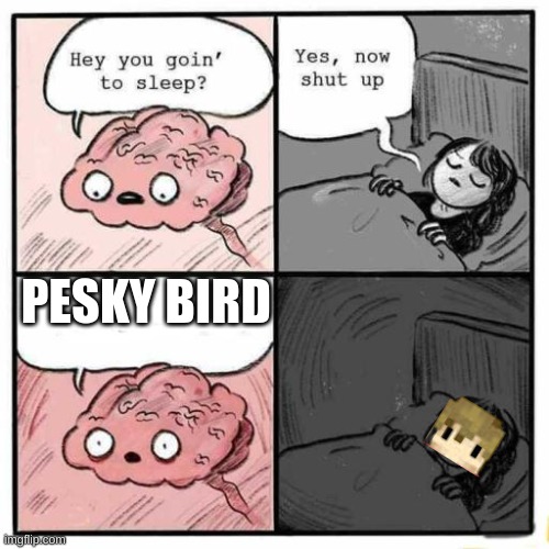 Hey you going to sleep? | PESKY BIRD | image tagged in hey you going to sleep,grian,birb | made w/ Imgflip meme maker