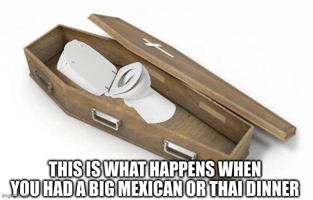 It was too strong to handle | THIS IS WHAT HAPPENS WHEN YOU HAD A BIG MEXICAN OR THAI DINNER | image tagged in funny memes,memes,funny,food | made w/ Imgflip meme maker