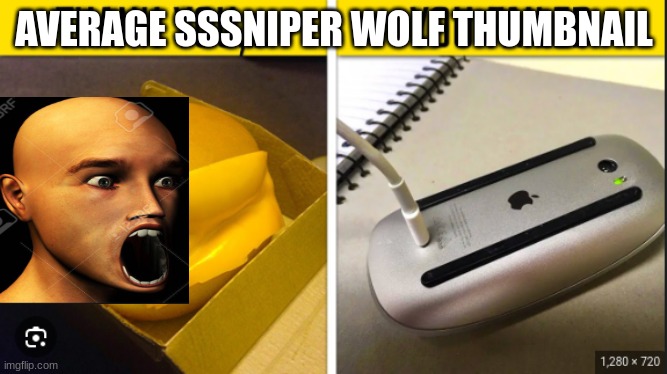 lol is true | AVERAGE SSSNIPER WOLF THUMBNAIL | image tagged in oh wow are you actually reading these tags | made w/ Imgflip meme maker