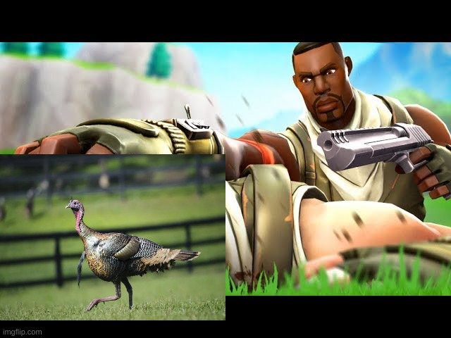 when u chase a turkey for 10 miles | image tagged in come here now | made w/ Imgflip meme maker