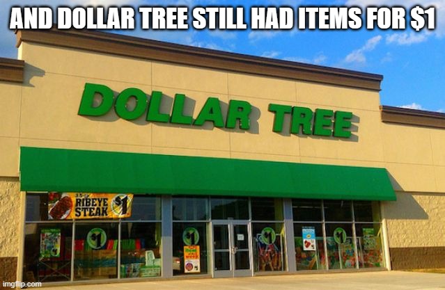 Dollar Tree | AND DOLLAR TREE STILL HAD ITEMS FOR $1 | image tagged in dollar tree | made w/ Imgflip meme maker